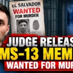 Judge Releases Alleged MS-13 Member Wanted in El Salvador Murder Case
